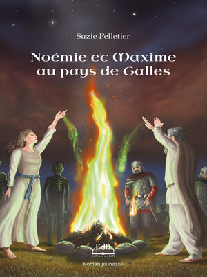 cover image of Noémie et Maxime au pays de Galles